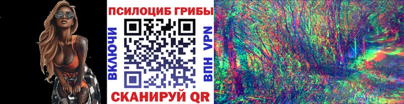 сколько стоит  Омск  МЕГА зеркало  Галлюциногенные грибы ЛСД 
